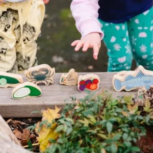 Wooden Indigenous Tucker - Best Open- Ended Play Toys