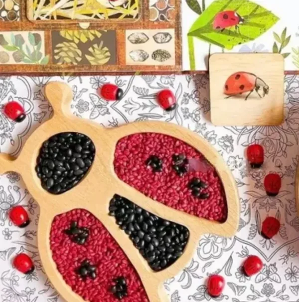 Wooden Ladybug Sensory Play Tray - Best Open Ended Play Toys