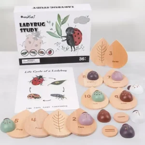 Wooden Ladybug Study - Montessori Wooden Toys