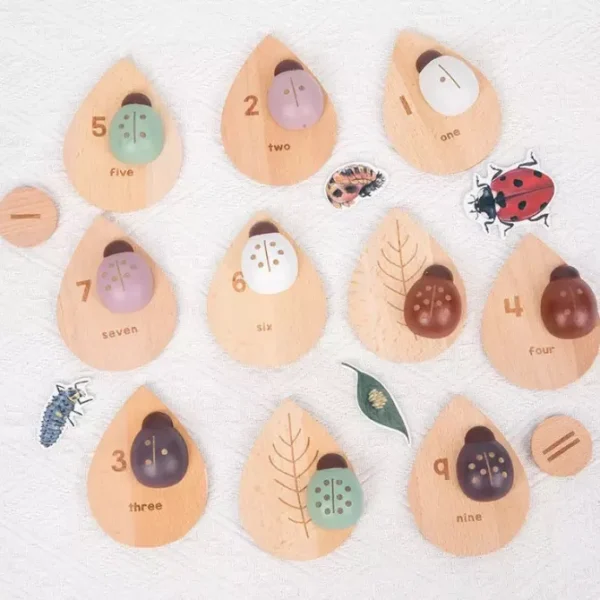 Wooden Ladybug Study - Montessori Wooden Toys