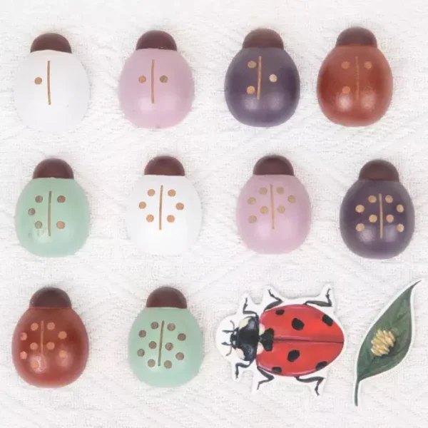 Wooden Ladybug Study - Montessori Wooden Toys