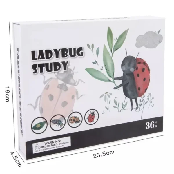 Wooden Ladybug Study - Montessori Wooden Toys