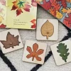 Wooden Leaf Puzzle- Fine motor skills toys