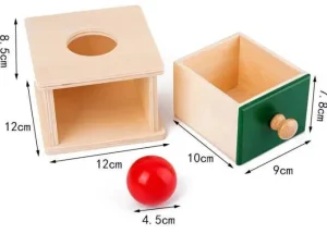 Wooden Montessori Imbucare Box (Coin and Ball)- Best montessori toys