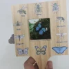 Wooden Nature Guide Finder- Best montessori toys