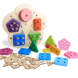 Wooden number shape and fraction -Mathematics toys