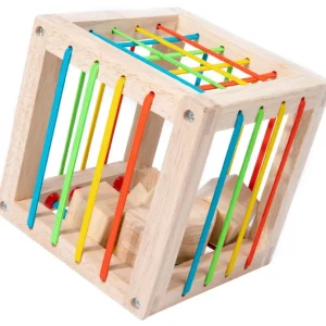 Wooden Shape Insert Box - Best Fine Motor Skill Toy