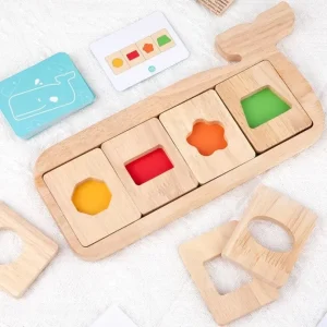 Wooden Whale Shape Colour Match Game-Mathematics toys