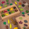 Woodland Leaves 40 pieces-Open ended wooden toys