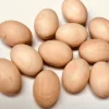 12 x Jumbo Solid Wooden Eggs - Natural Unpainted Open ended wooden toys